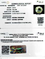 8.44/CT Natural Yellow Sapphire With Govt Lab Certificate (16650)